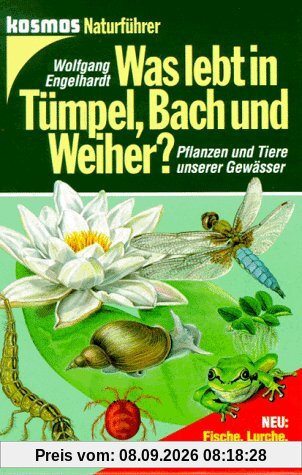 Was lebt in Tümpel, Bach und Weiher?