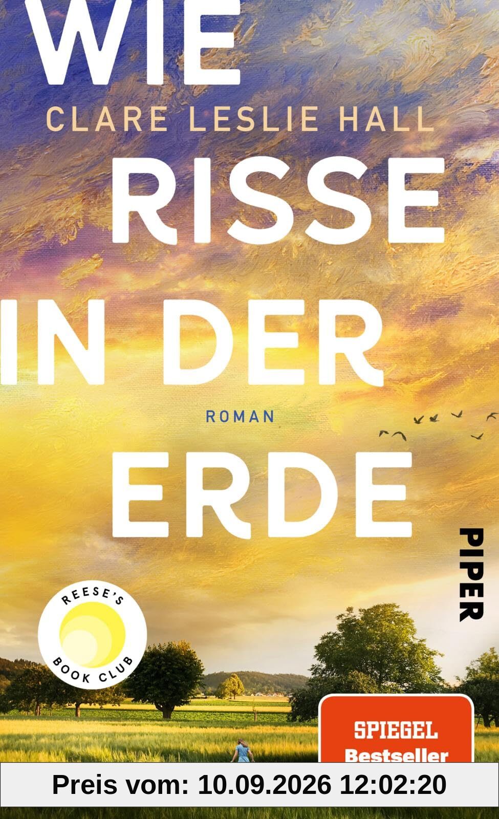 Wie Risse in der Erde: Roman | »Ein Buch, das man vielleicht nie in seinem Leben wieder vergisst.« Deutschlandfunk Kultur