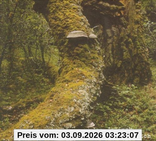 Kosmischer Pitch