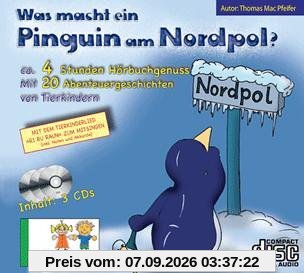 Was macht ein Pinguin am Nordpol?