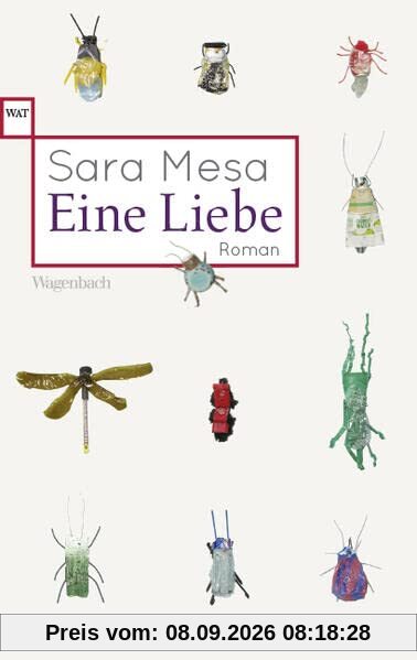 Eine Liebe (Wagenbachs andere Taschenbücher)