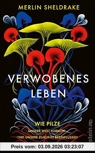 Verwobenes Leben: Wie Pilze unsere Welt formen und unsere Zukunft beeinflussen
