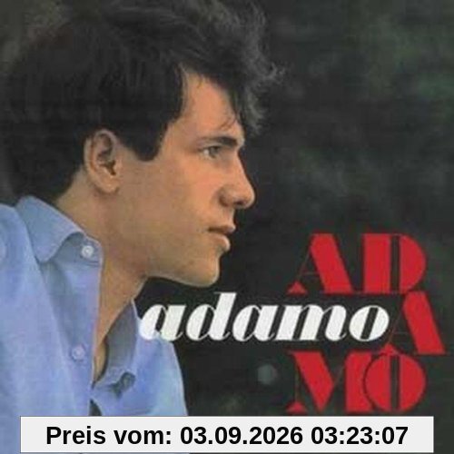 Portrait 1961-1975 (Paperslevve)
