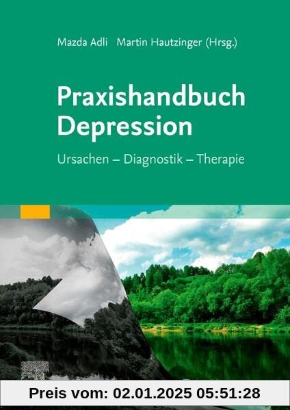 Praxishandbuch Depression: Ursachen - Diagnostik - Therapie