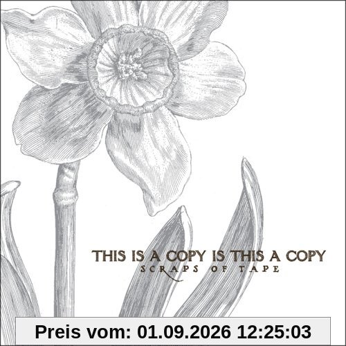 This Is a Copy Is This a Copy