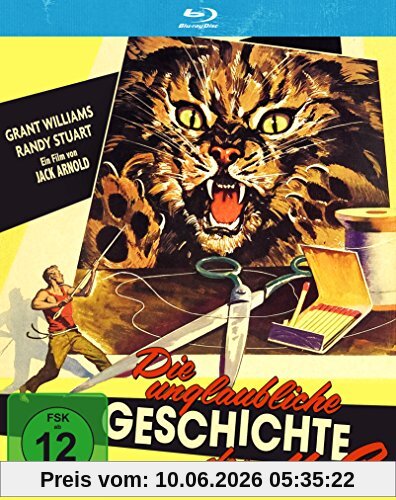 Die unglaubliche Geschichte des Mr. C [Blu-ray]
