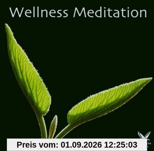 Wellness Meditation