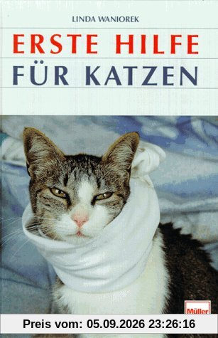Erste Hilfe für Katzen