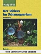 Der Diskus im Schauaquarium (Ratgeber)