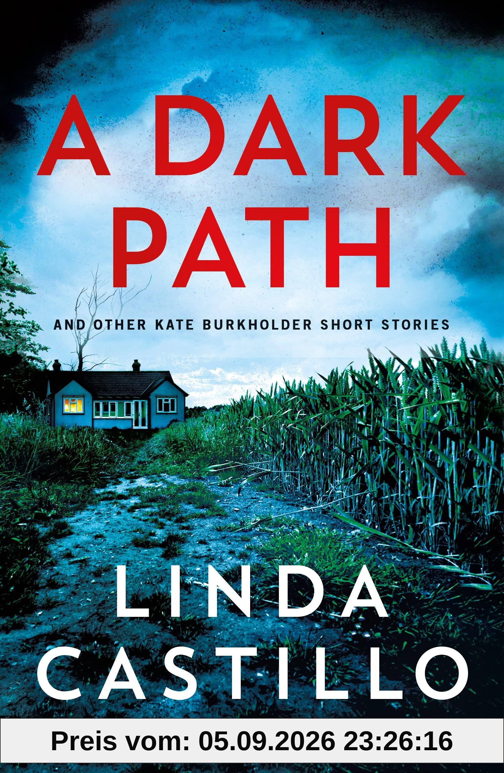 A Dark Path: And Other Kate Burkholder Short Stories