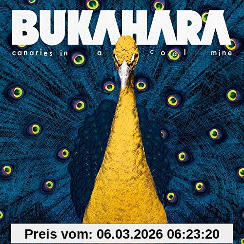 Bukahara Canaries In A Coal Mine