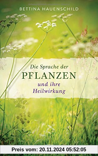 Die Sprache der Pflanzen und ihre Heilwirkung