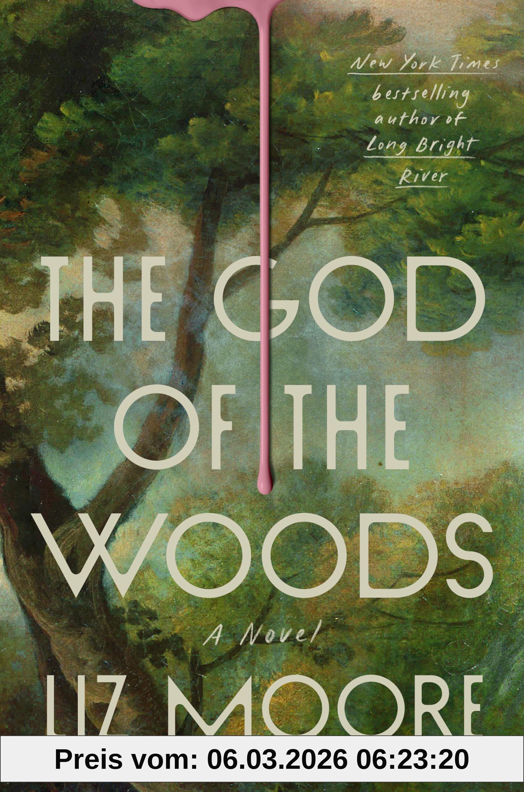 Liz Moore The God Of The Woods, A Novel