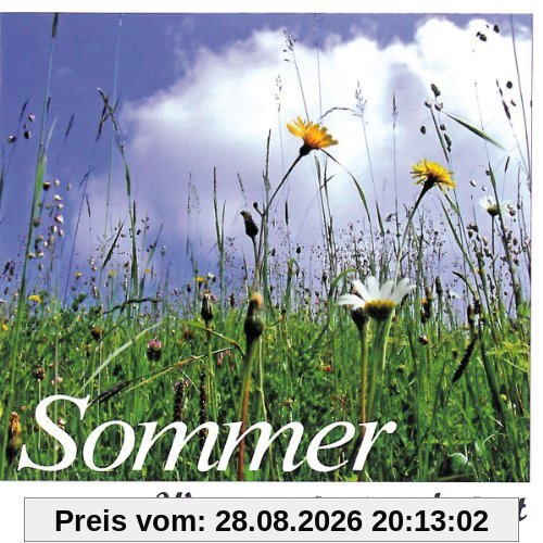 Sommer: Wenn es singt und zirpt