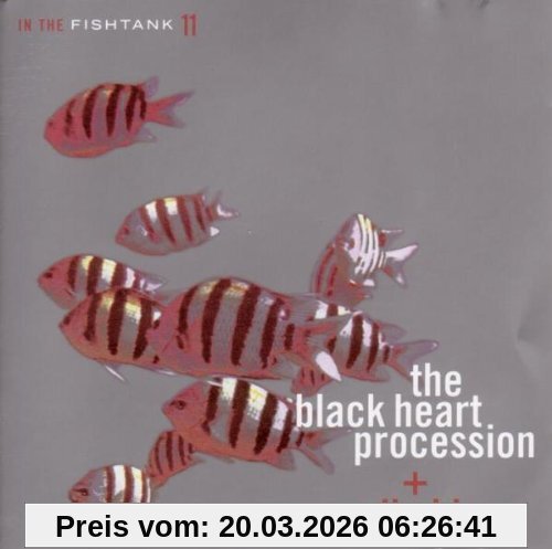 Black Heart Procession, the & Solbakken In The Fishtank 11