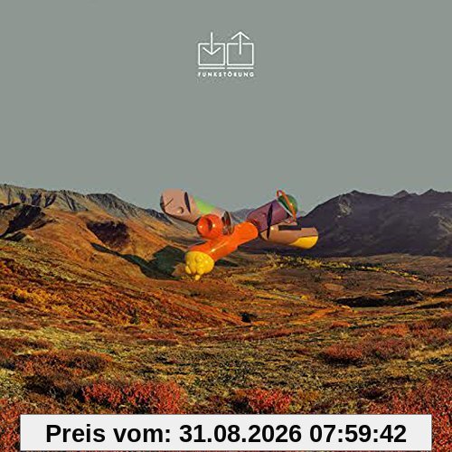 Funkstörung