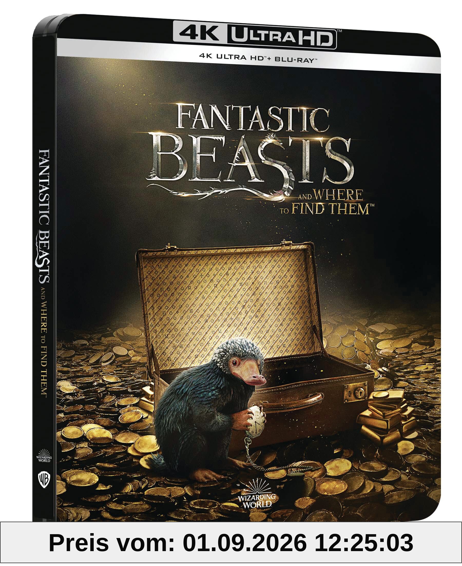Les animaux fantastiques 4k ultra hd [Blu-ray] [FR Import]