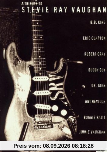 Various Artists - A Tribute to Stevie Ray Vaughan