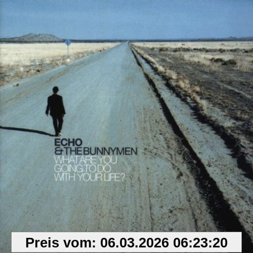Echo & the Bunnymen What Are You Going To Do With Your Life?