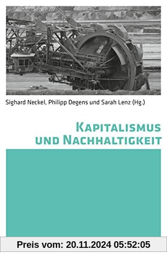 Kapitalismus und Nachhaltigkeit (Zukünfte der Nachhaltigkeit, 4)