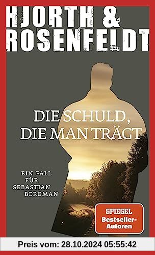 Die Schuld, die man trägt: Ein Fall für Sebastian Bergman