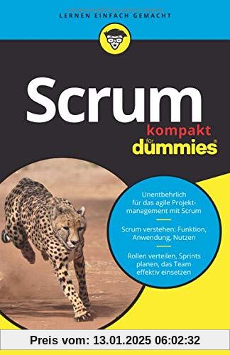 Scrum kompakt für Dummies