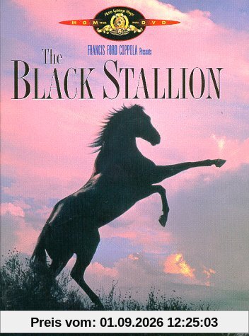 The Black Stallion