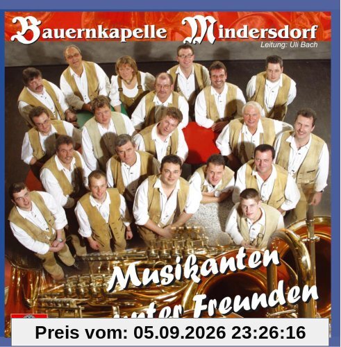 Musikanten unter Freunden