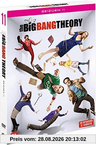 The Big Bang Theory - Saison 11 [DVD]