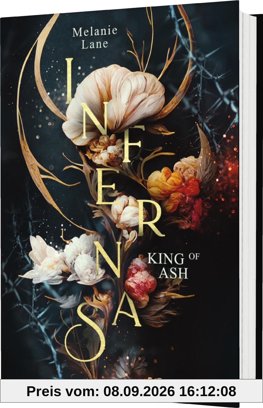 Infernas 1: King of Ash: Spicy New Adult Romantasy - BookTok Dämonenfantasy