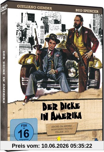 Der Dicke in Amerika