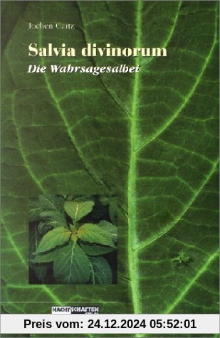 Salvia Divinorum - Der Wahrsagesalbei