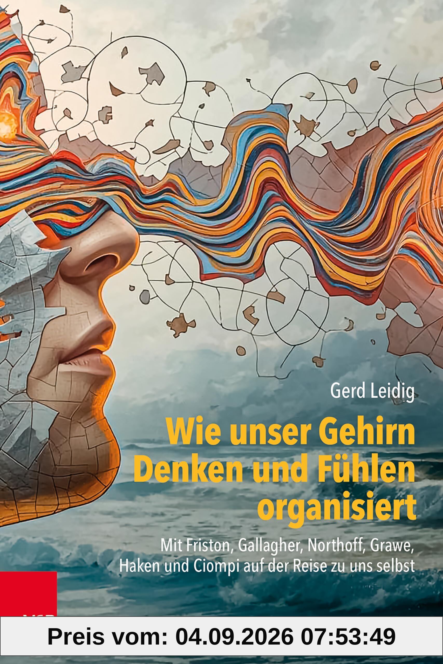 Wie unser Gehirn Denken und Fühlen organisiert