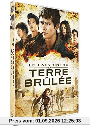 Le Labyrinthe : la terre brûlée
