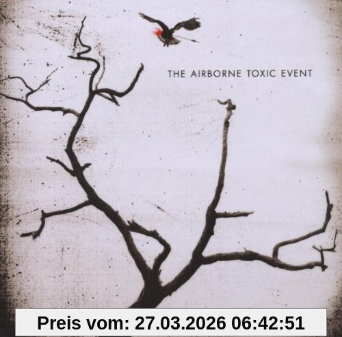 The Airborne Toxic Event
