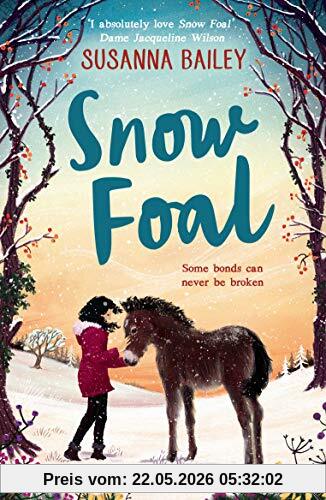 Susanna Bailey Snow Foal