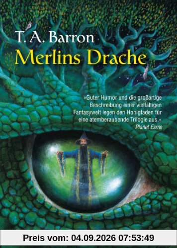 Merlins Drache I: Roman
