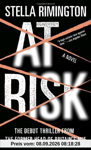 At Risk: A Novel (Vintage Crime/Black Lizard)