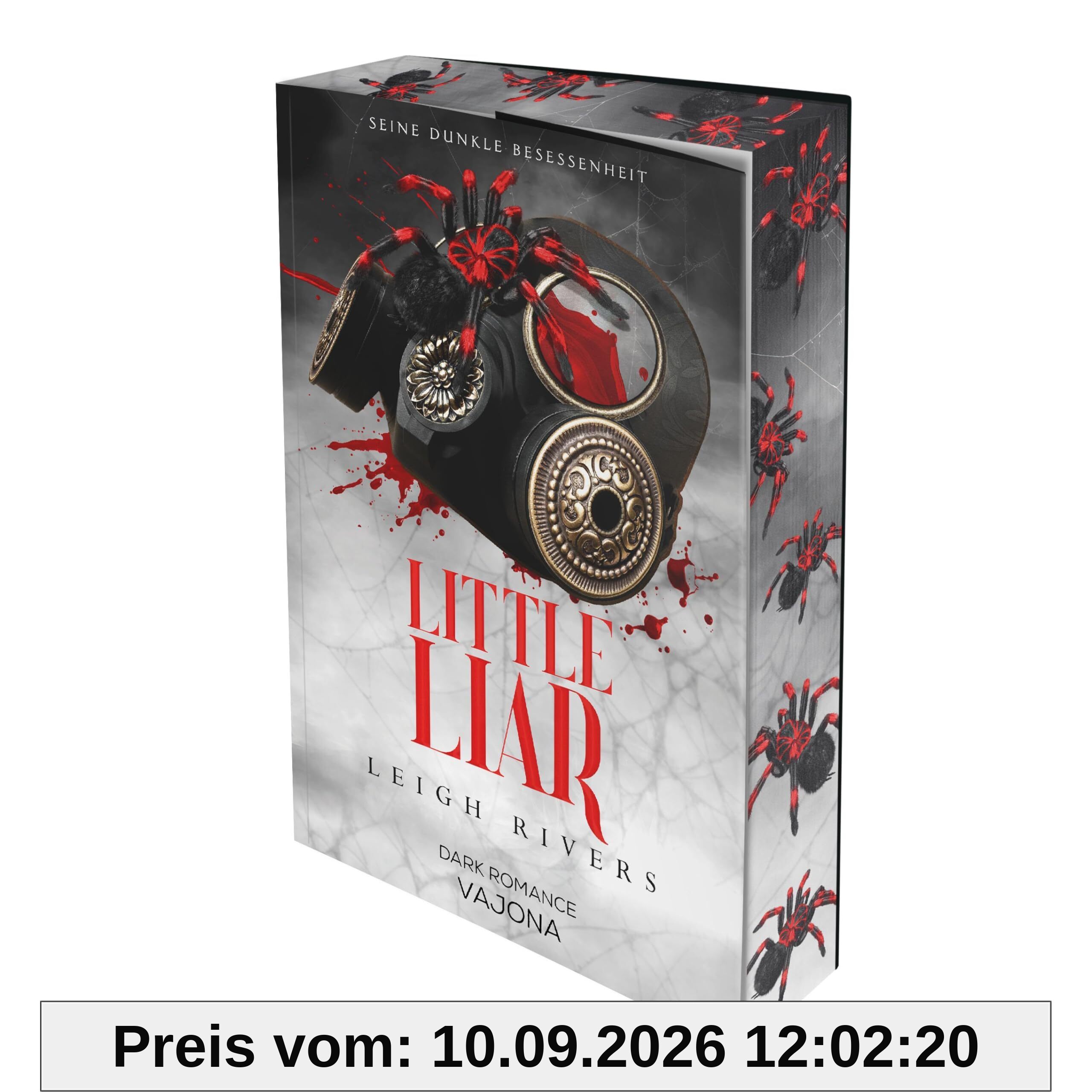 Little Liar: Seine dunkle Besessenheit (Web of Silence Duett)