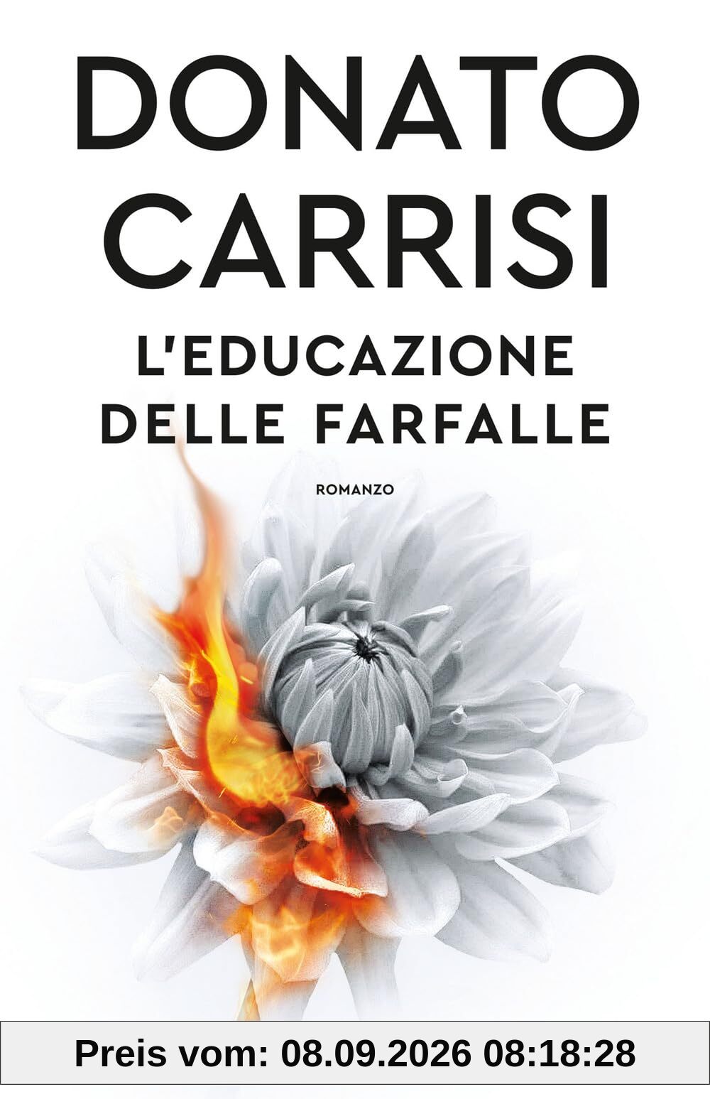 L'educazione delle farfalle