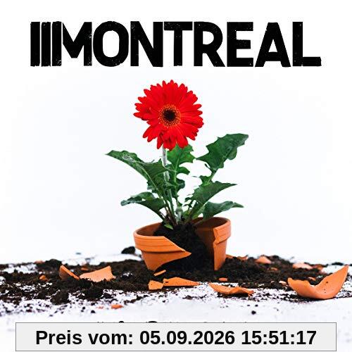 Hier und Heute Nicht