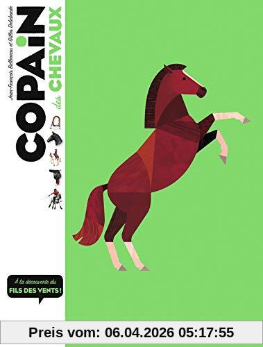 Copain des chevaux : à la découverte des fils du vent !