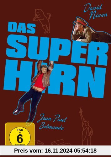 Das Superhirn