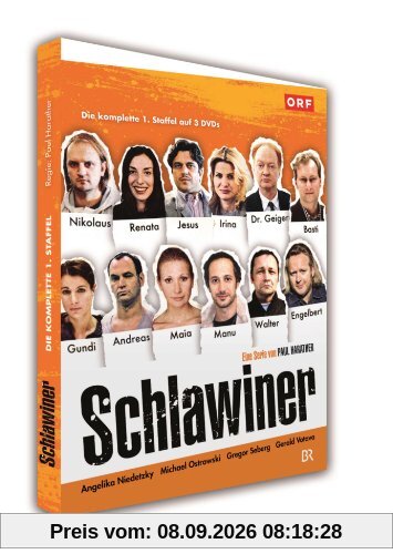 Schlawiner: Die komplette 1. Staffel [3 DVDs]