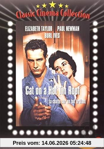 unbekannt Cat On A Hot Tin Roof