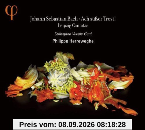 Bach: Leipziger Kantaten BWV 25/138/105/46