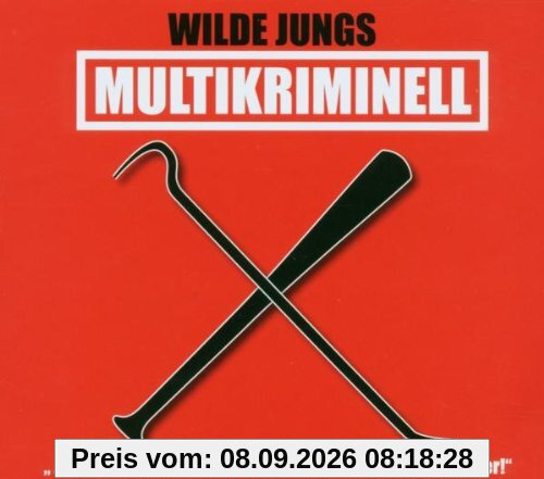 Multikriminell