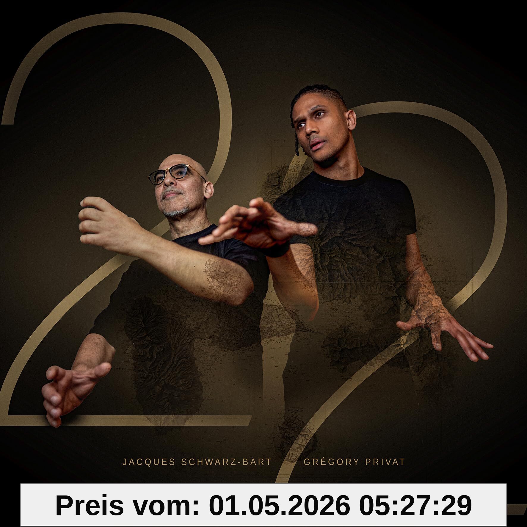 22 [Vinyl LP]