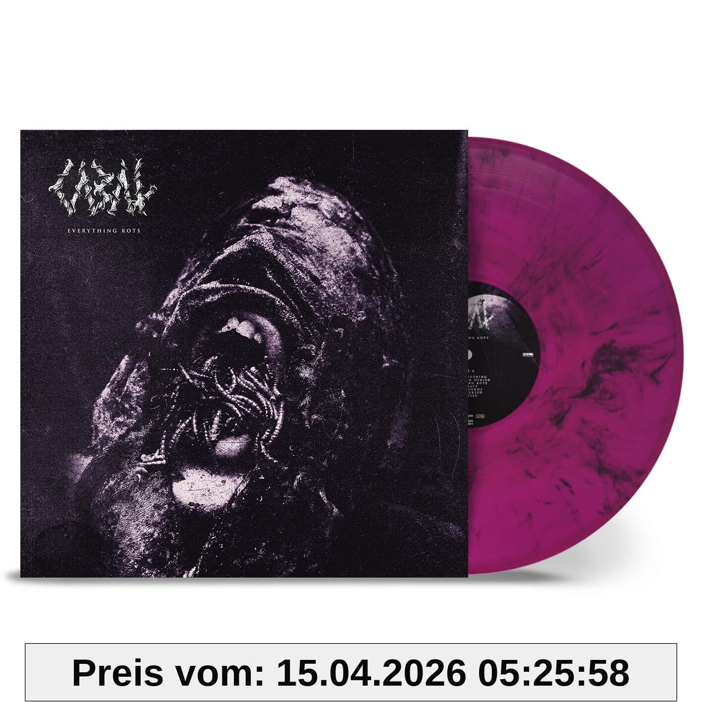 Everything Rots [Vinyl LP]