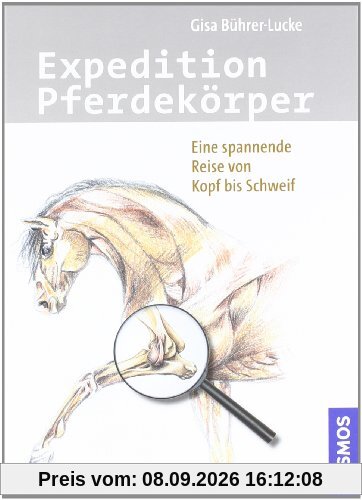 Expedition Pferdekörper: Eine spannende Reise von Kopf bis Schweif